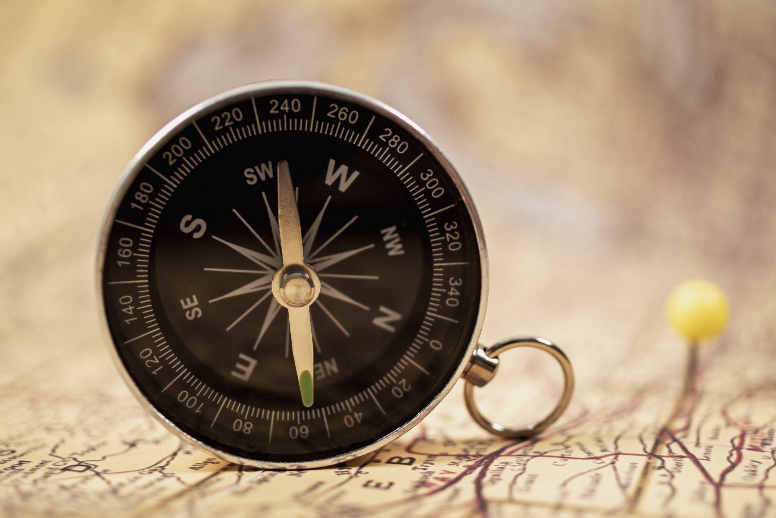 view-world-travel-map-with-compass-scaled.jpg