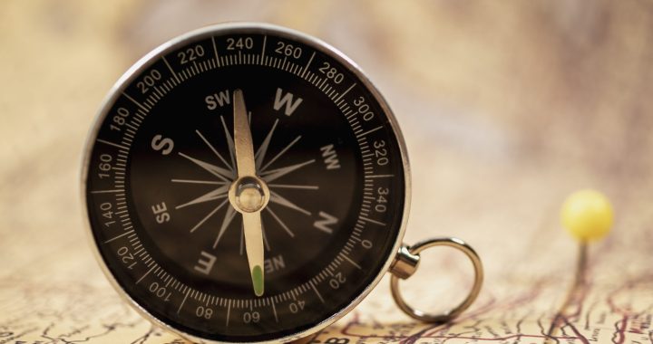 view-world-travel-map-with-compass-scaled.jpg